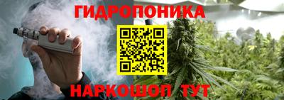 стафф Заволжье