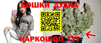 стафф Заволжье