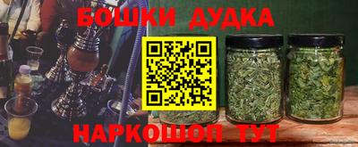 стафф Заволжье