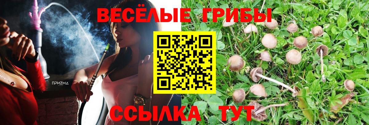 Лиски  Псилоцибиновые грибы Psilocybine cubensis  Вход с VPN  Галлюциногенные грибы Psilocybine cubensis 